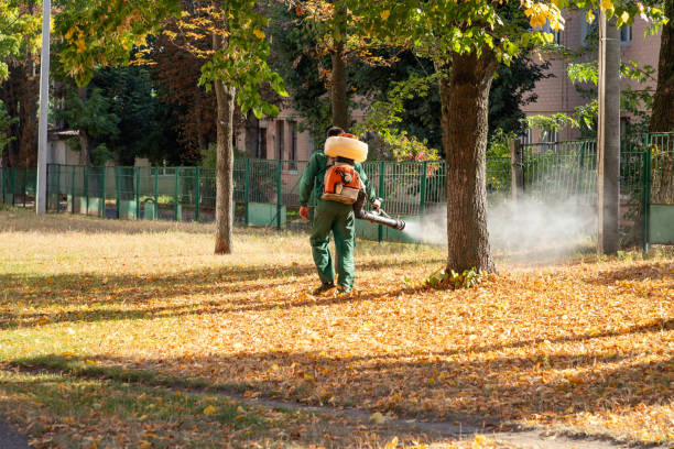 Wasp Removal Services in Plumsteadville, PA