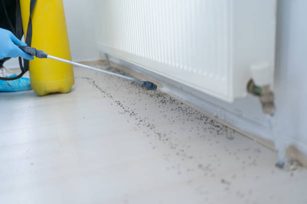Best Mosquito Control Services  in Plumsteadville, PA