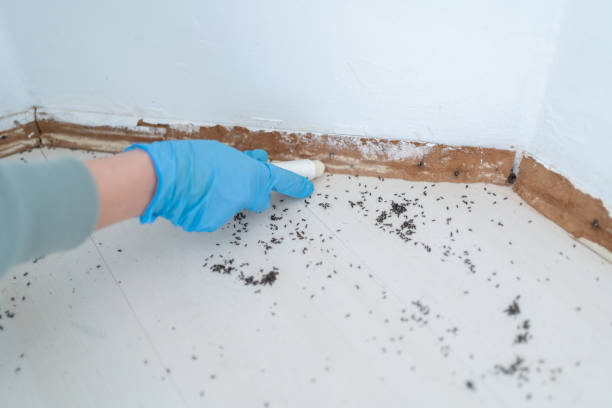 Pest Prevention Services in Plumsteadville, PA