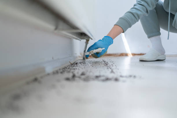 Best Best Pest Control Companies  in Plumsteadville, PA